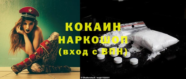 шишки Сосновка