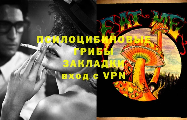 герыч Губаха