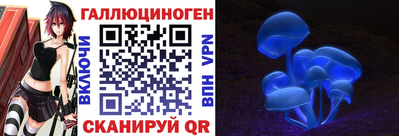 закладки  дарк нет клад  Псилоцибиновые грибы мухоморы  Купино 